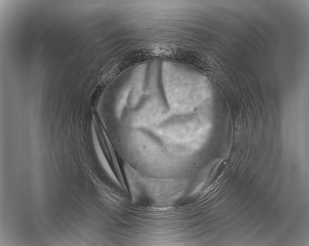 X0000058770176200510171236