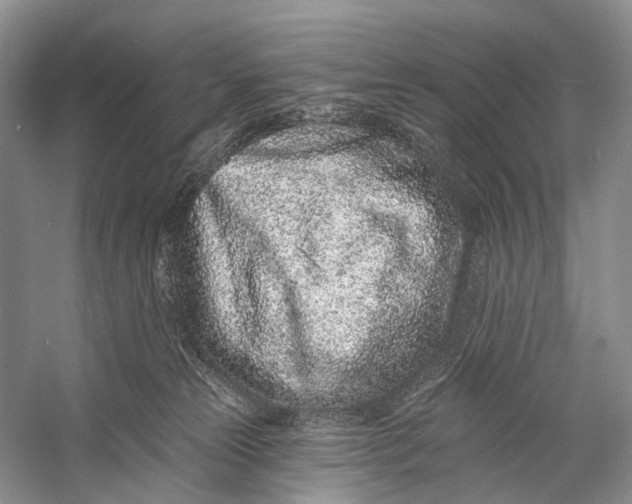 X0000058770181200510171236