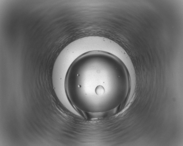 X0000058770186200510171236