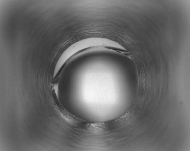 X0000058770188200510171236