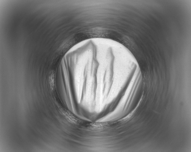 X0000058770190200510171236