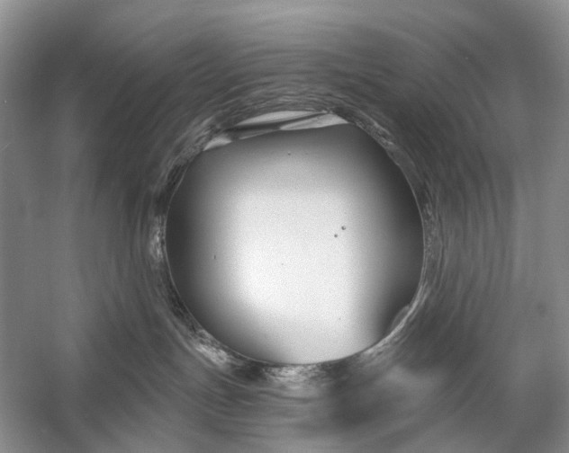 X0000058770191200510171236