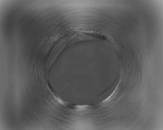 X0000058770192200510171236
