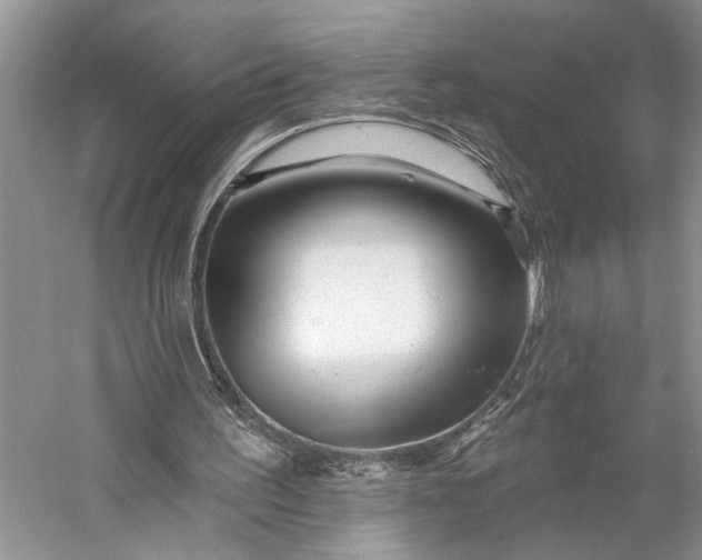 X0000058770195200510171235