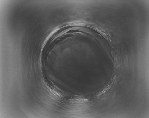 X0000058770200200510171235