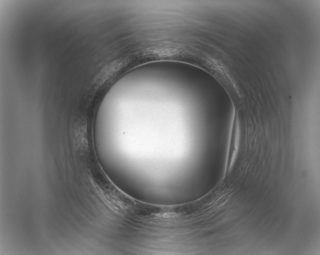 X0000058770212200510171235