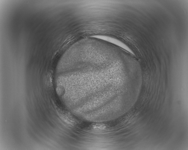 X0000058770214200510171235