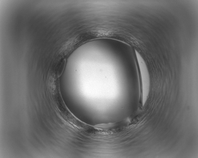 X0000058770215200510171235