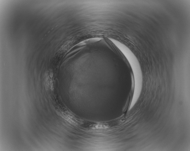 X0000058770223200510171235