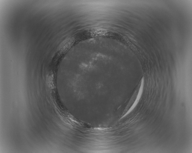 X0000058770224200510171235