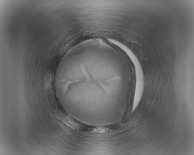 X0000058770225200510171235