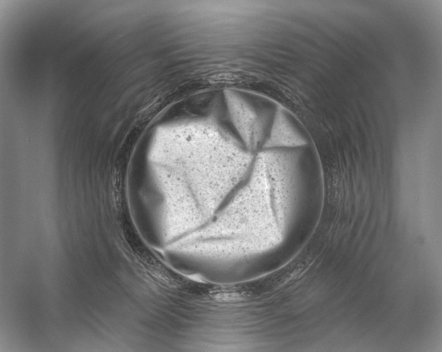 X0000058770228200510171235