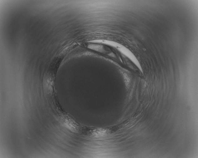 X0000058770235200510171234
