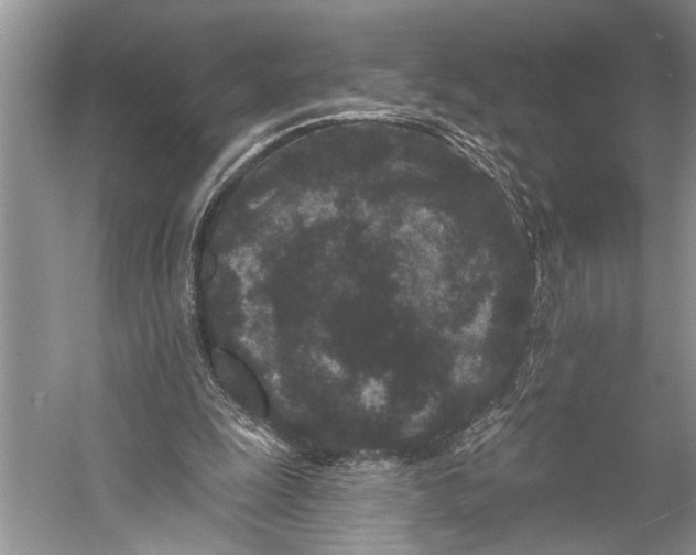 X0000058770247200510171234
