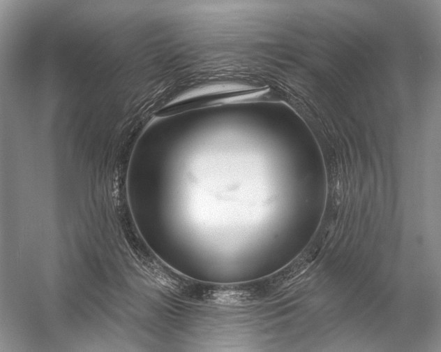 X0000058770268200510171234