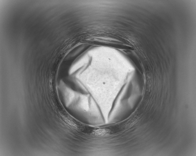 X0000058770269200510171234