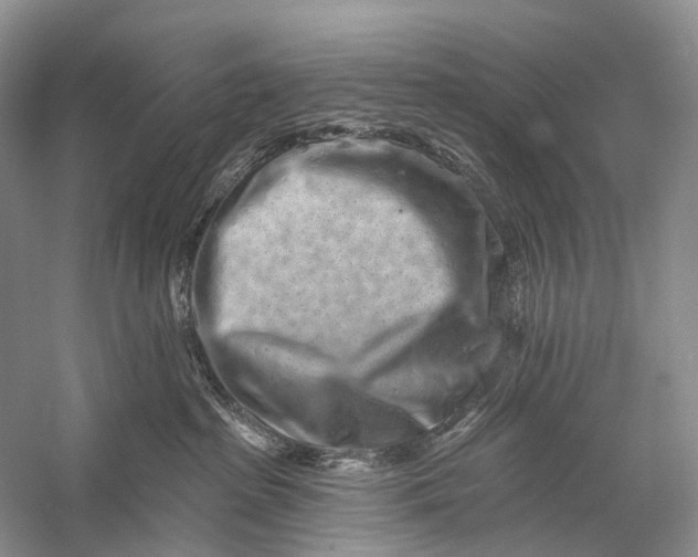 X0000058770285200510171234