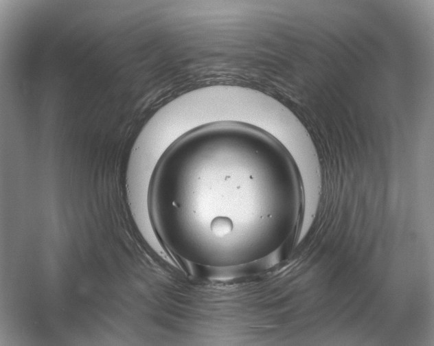 X0000058770287200510171234