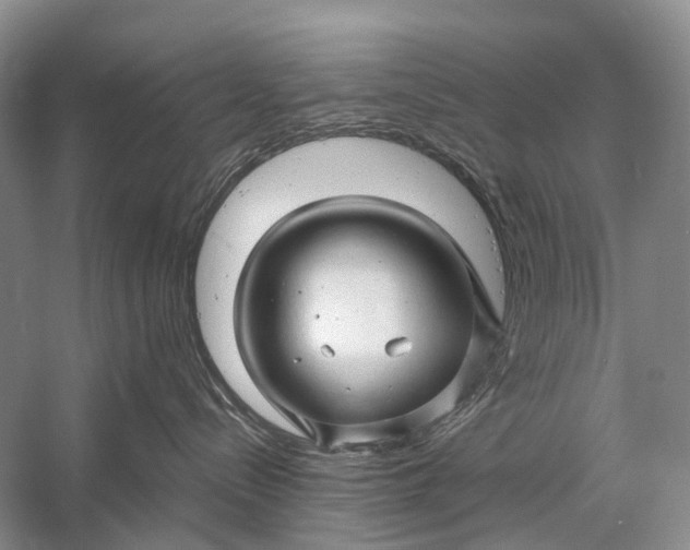 X0000058770288200510171234