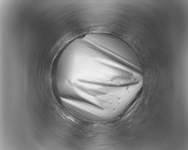 X0000058770290200510171233