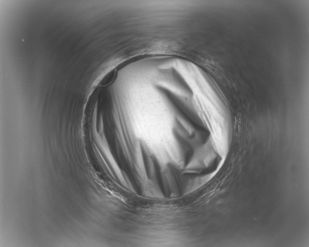 X0000058770292200510171233