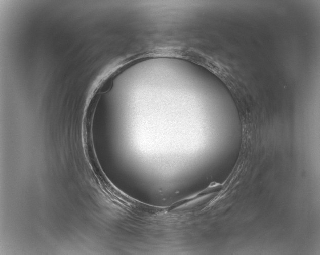 X0000058770294200510171233