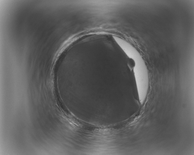 X0000058770295200510171233