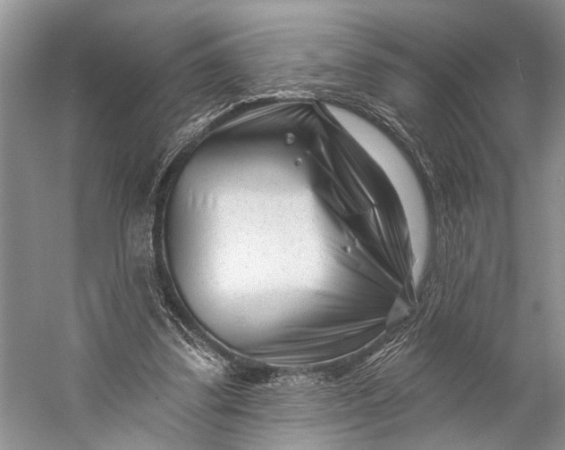 X0000058770299200510171233
