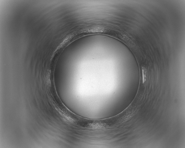 X0000058770300200510171233