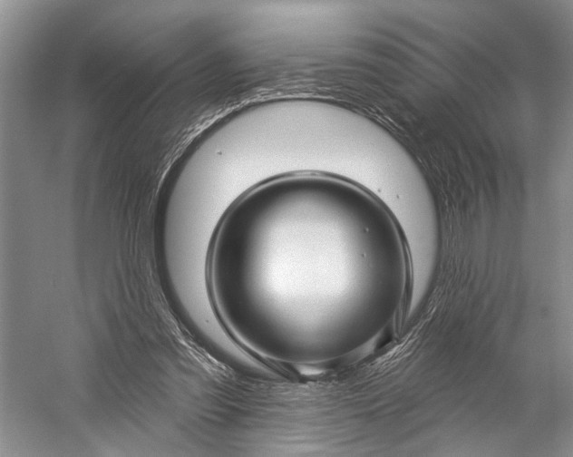 X0000058770301200510171233