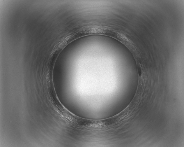 X0000058770306200510171233