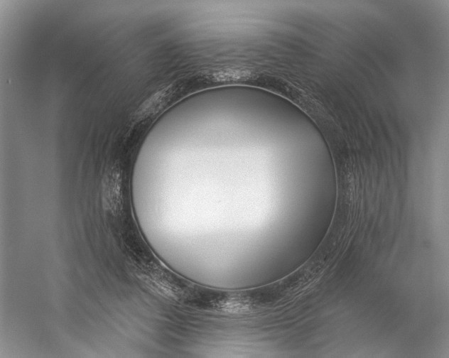 X0000058770308200510171233