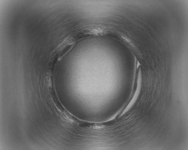 X0000058770313200510171233