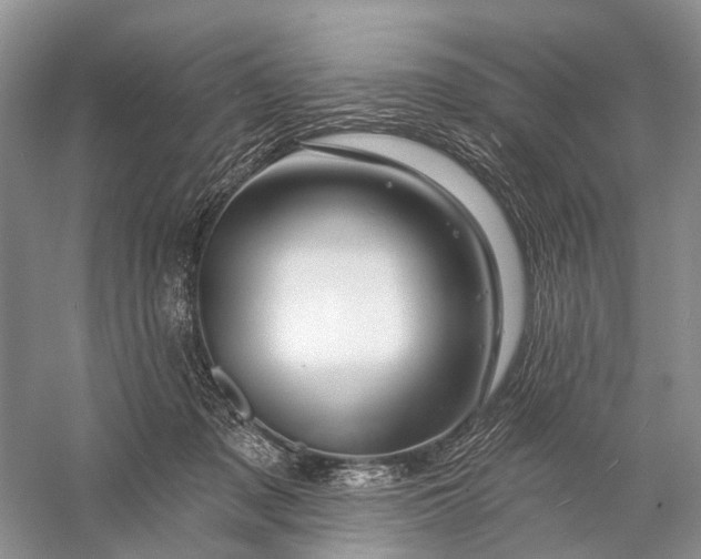 X0000058770317200510171233