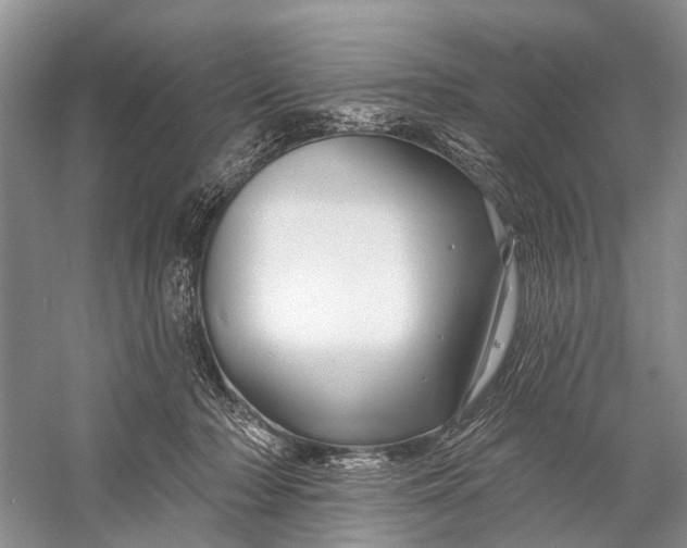 X0000058770318200510171233