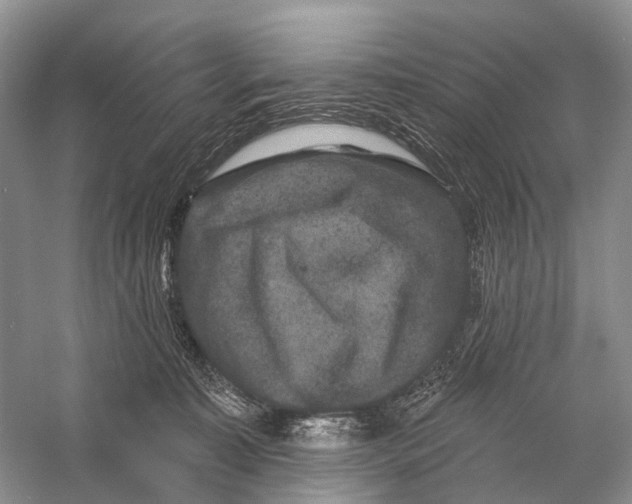 X0000058770323200510171233