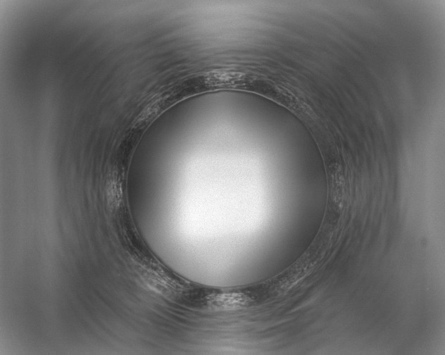 X0000058770324200510171233