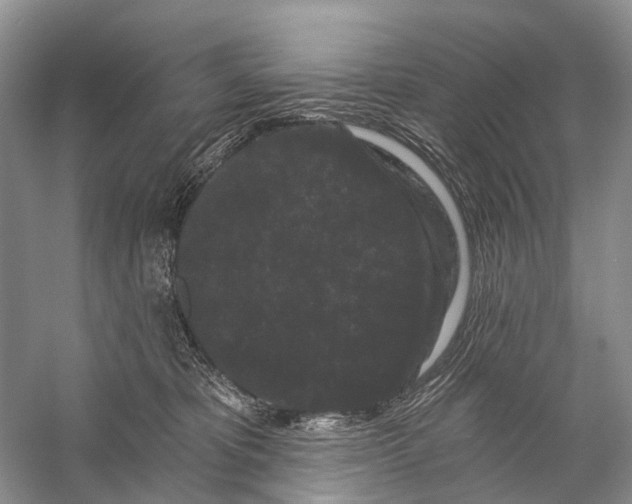 X0000058770325200510171233