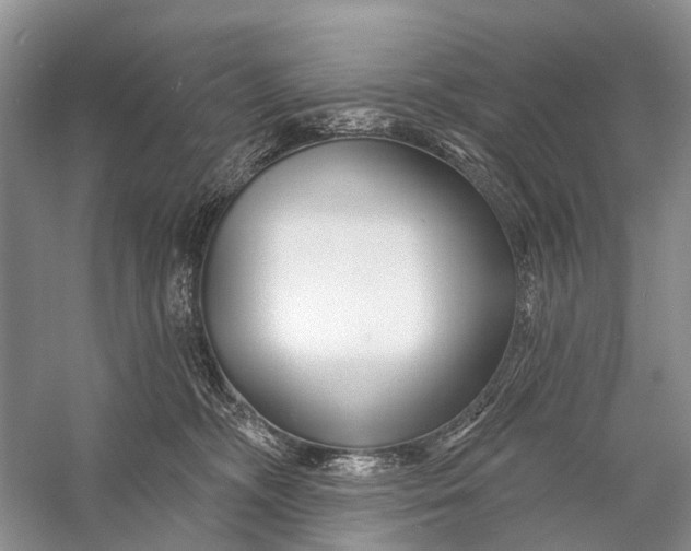 X0000058770326200510171233