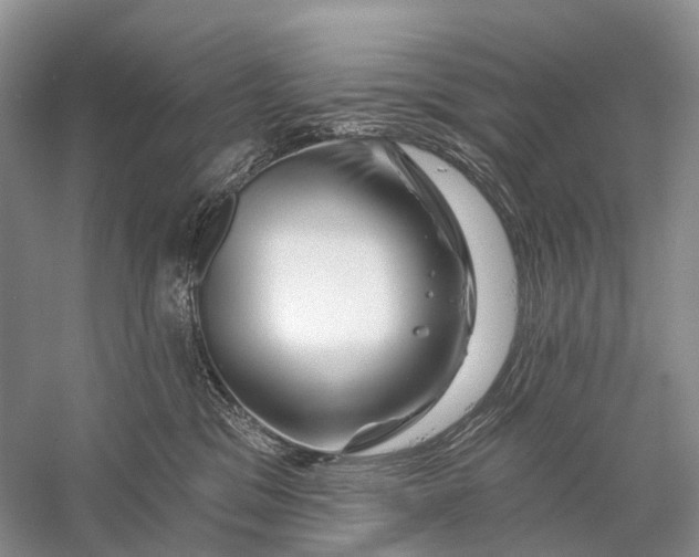X0000058770329200510171233