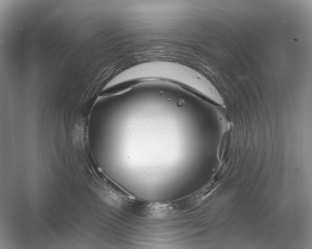 X0000058770333200510171233
