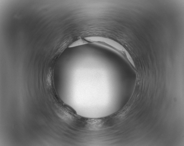 X0000058770334200510171233