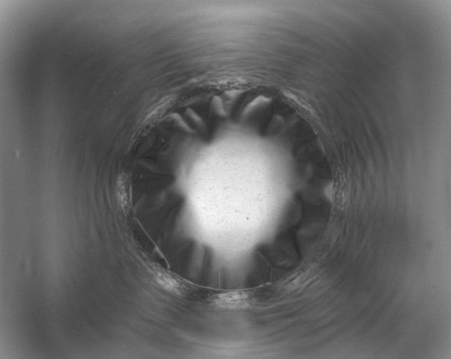 X0000058770335200510171233