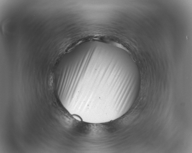 X0000058770336200510171233