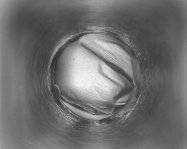 X0000058770342200510171232