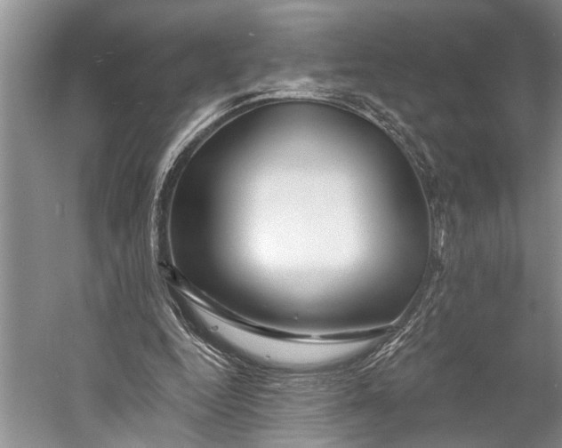 X0000058770344200510171232