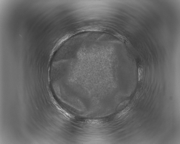 X0000058770349200510171232
