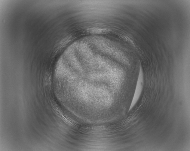 X0000058770357200510171232