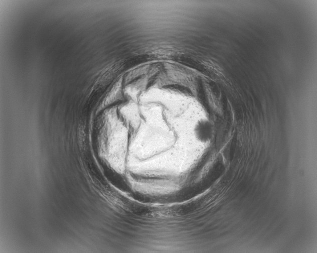 X0000058770365200510171232