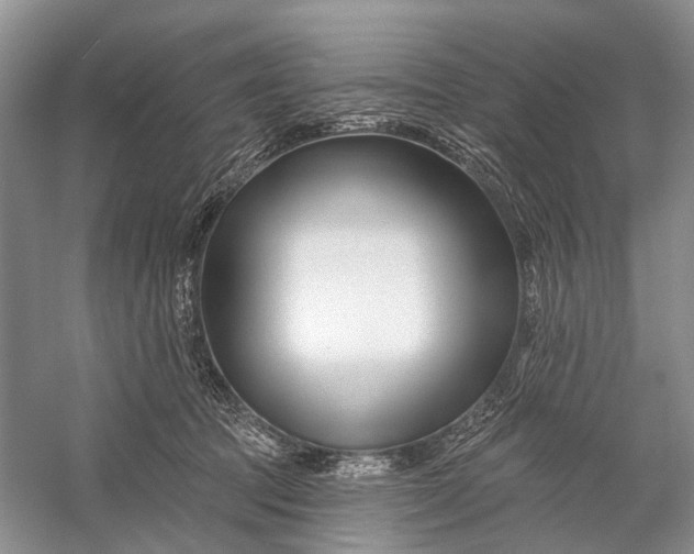 X0000058770369200510171232